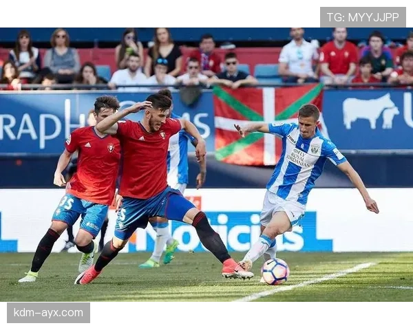 奥萨苏纳球队结构解析：战术体系与人员配置现状