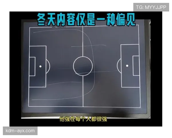 多特战术解析 多特战术解析