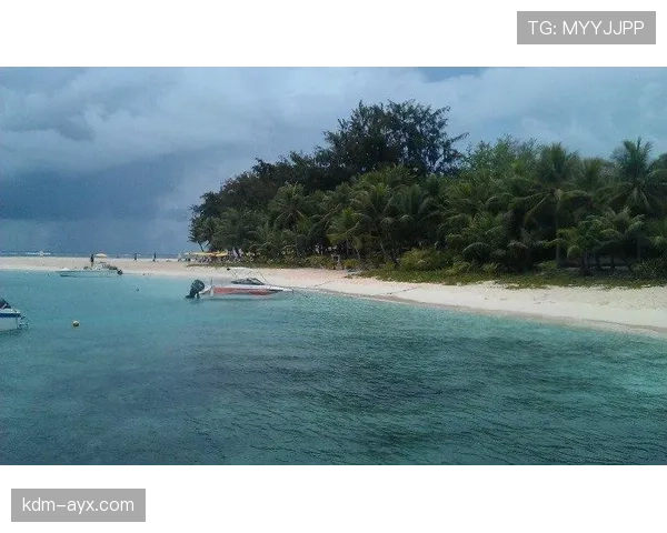 大洋洲国家杯争议事件最新进展