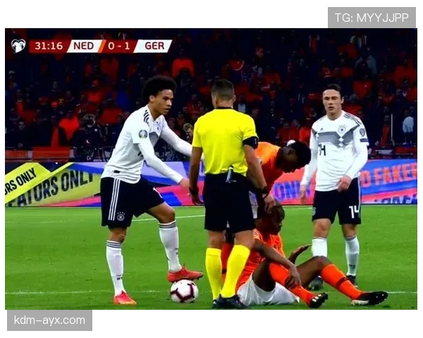 塞尔维亚锋线旗帜：弗拉霍维奇的责任与定位